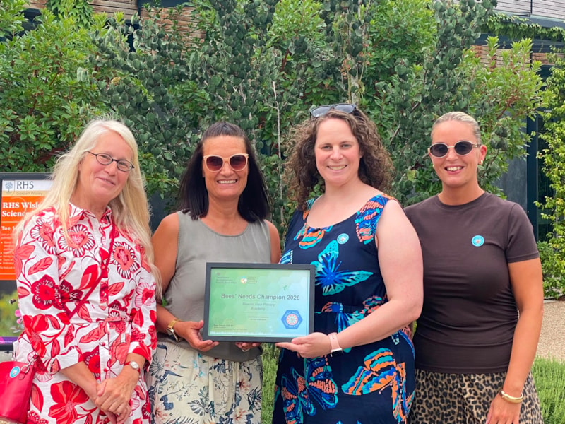Beacon View Primary Academy wins prestigious National Bees' Needs Champion Award